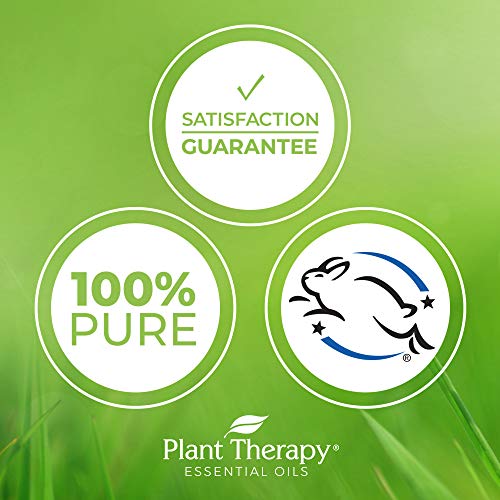 Plant Therapy Rapid Relief Essential Oil Blend Pre-Diluted Roll-O...