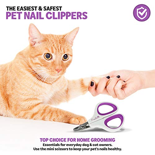 Poodle Pet Cat Nail Trimmer Clipper Scissors for Cats, Kittens, D...
