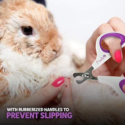 Poodle Pet Cat Nail Trimmer Clipper Scissors for Cats, Kittens, D...