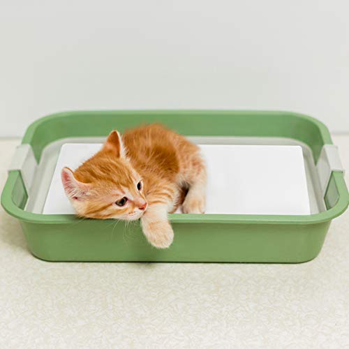 POPETPOP 100pcs Bird Cage Liners Papers Disposable Parrot Bird Ca...