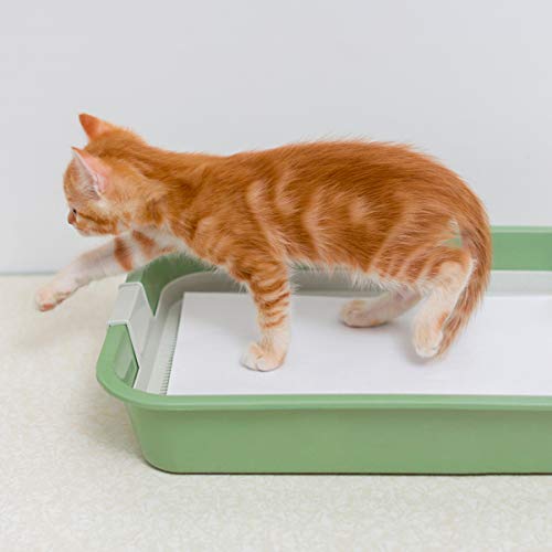 POPETPOP 100pcs Bird Cage Liners Papers Disposable Parrot Bird Ca...