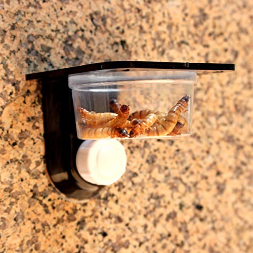 POPETPOP 4 Pack Gecko Feeding Ledge,Reptile Lizard Gecko Food Wat...