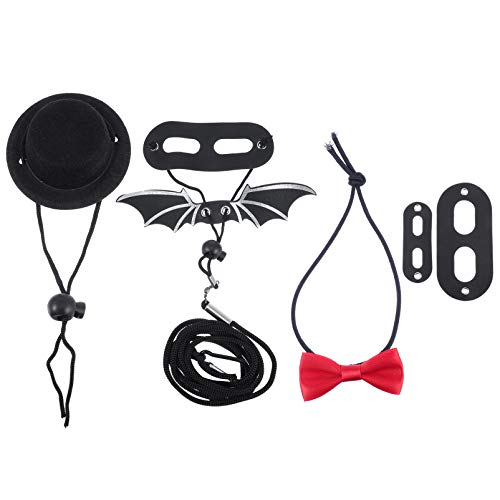 POPETPOP Bearded Dragon Harness and Leash- Lizard Hat and Bowtie ...