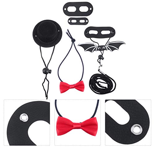 POPETPOP Bearded Dragon Harness and Leash- Lizard Hat and Bowtie ...