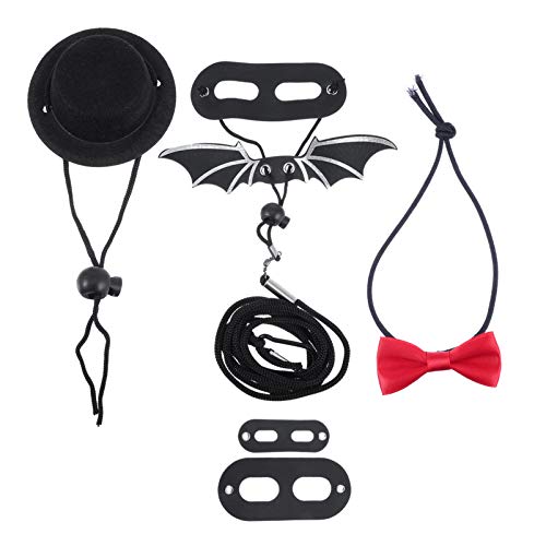 POPETPOP Bearded Dragon Harness and Leash- Lizard Hat and Bowtie ...