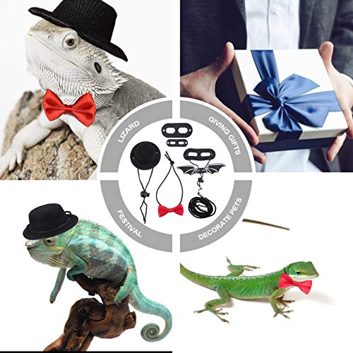 POPETPOP Bearded Dragon Harness and Leash- Lizard Hat and Bowtie ...
