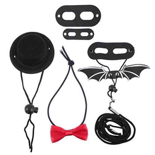 POPETPOP Bearded Dragon Harness and Leash- Lizard Hat and Bowtie ...