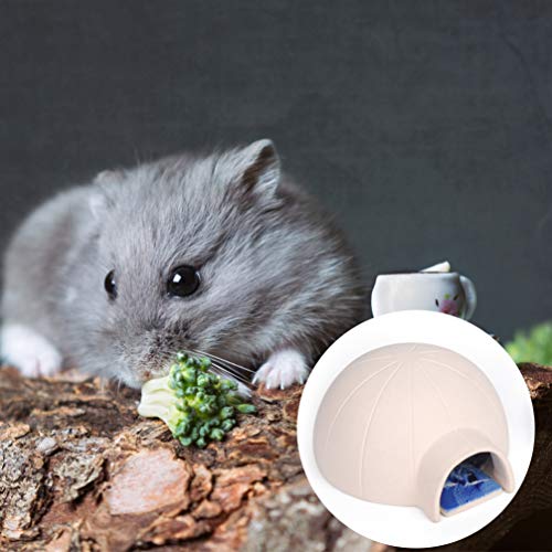 POPETPOP Ceramic Hamster House Small Pet Hideout Hamster Cave Coo...