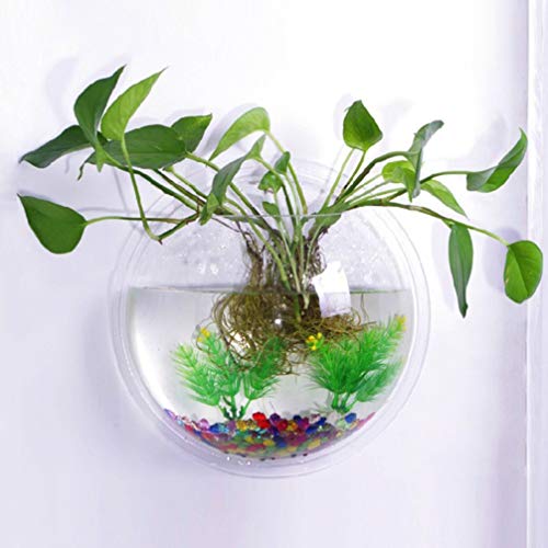 POPETPOP Fish Bowl - Wall Mounted Acrylic Transparent Mini Aquari...