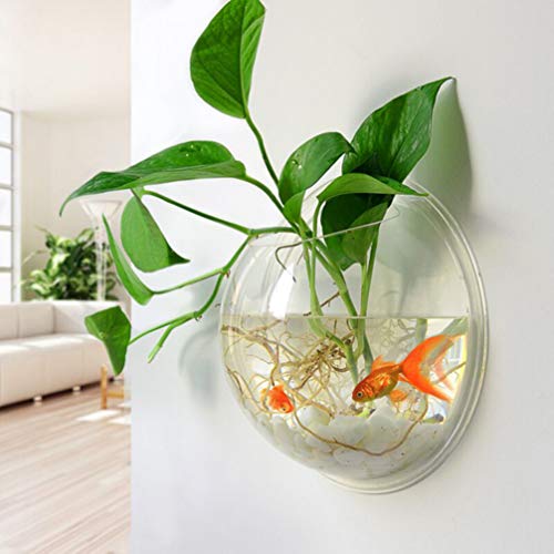 POPETPOP Fish Bowl - Wall Mounted Acrylic Transparent Mini Aquari...