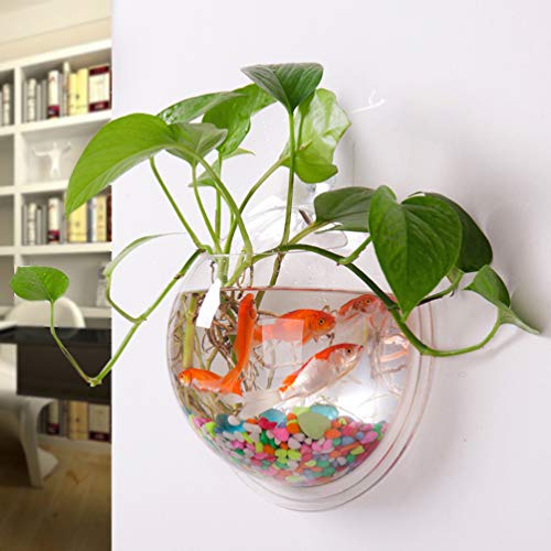 POPETPOP Fish Bowl - Wall Mounted Acrylic Transparent Mini Aquari...