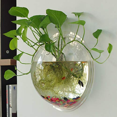 POPETPOP Fish Bowl - Wall Mounted Acrylic Transparent Mini Aquari...