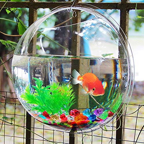 POPETPOP Fish Bowl - Wall Mounted Acrylic Transparent Mini Aquari...