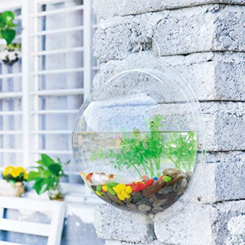 POPETPOP Fish Bowl - Wall Mounted Acrylic Transparent Mini Aquari...