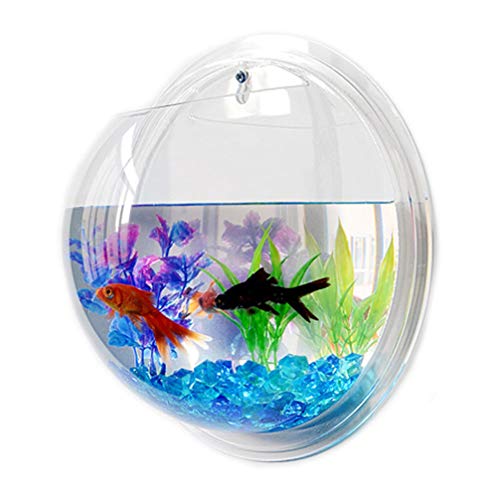 POPETPOP Fish Bowl - Wall Mounted Acrylic Transparent Mini Aquari...