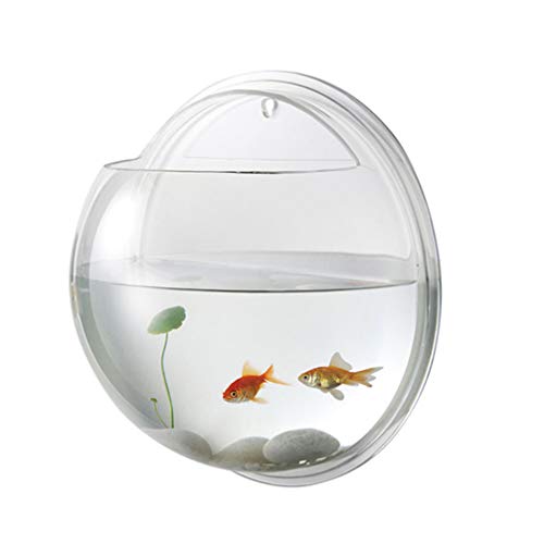 POPETPOP Fish Bowl - Wall Mounted Acrylic Transparent Mini Aquari...