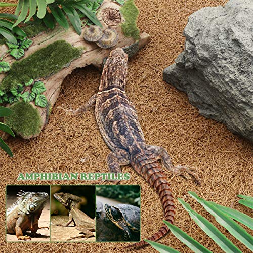 POPETPOP Reptile Carpet Coconut Fiber Reptiles Bedding Liner Clim...