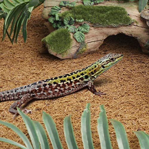 POPETPOP Reptile Carpet Coconut Fiber Reptiles Bedding Liner Clim...