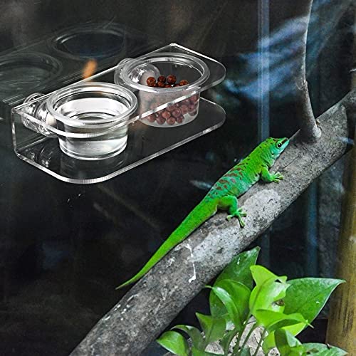 POPETPOP Reptile Feeding Cups-Gecko Feeder Cups Suction Cup Bowls...