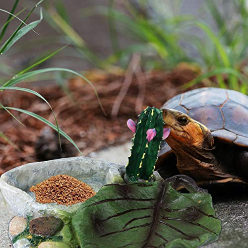 POPETPOP Reptile Water Bowl - Reptile Feeder Food Dish for Tortoi...