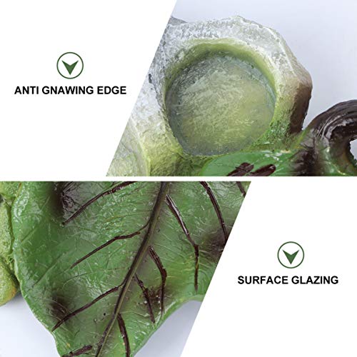 POPETPOP Reptile Water Bowl - Reptile Feeder Food Dish for Tortoi...