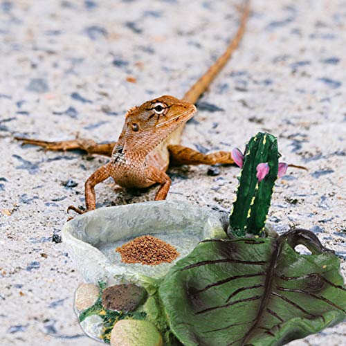 POPETPOP Reptile Water Bowl - Reptile Feeder Food Dish for Tortoi...