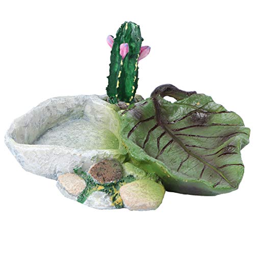 POPETPOP Reptile Water Bowl - Reptile Feeder Food Dish for Tortoi...