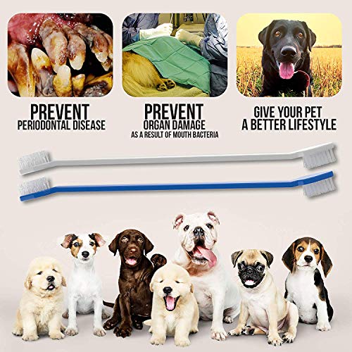 PoshWag Dog Tooth Brush Dog Set Kit Remove Plaque & Brighten You...