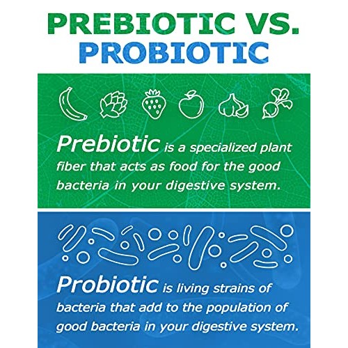 Prebiotin Prebiotic Weight Management – 8.5 oz – Formulated to Su...