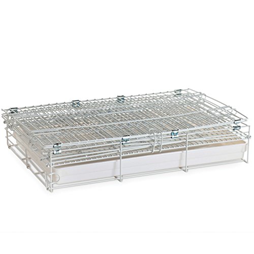 Prevue Hendryx Travel Bird Cage 1305 White, 20-Inch by 12-1/2-Inc...