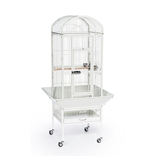Prevue Pet Products 34512 Dometop Bird Cage, Small, Chalk White