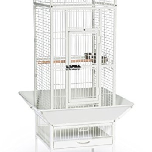 Prevue Pet Products 34512 Dometop Bird Cage, Small, Chalk White