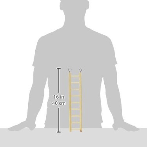 Prevue Pet Products BPV385 Birdie Basics 9-Step Wood Ladder for B...