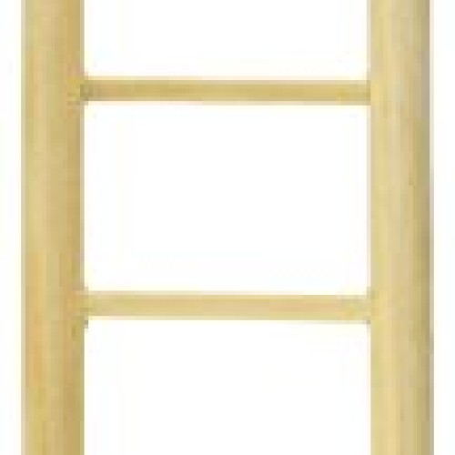 Prevue Pet Products BPV385 Birdie Basics 9-Step Wood Ladder for B...