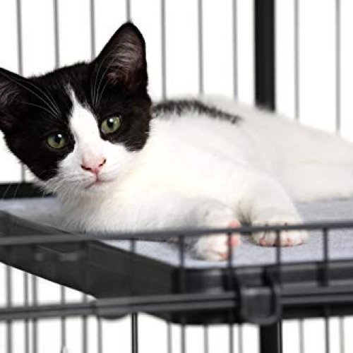 Prevue Pet Products Replacement Platform Shelf for 7500 & 7501 ca...