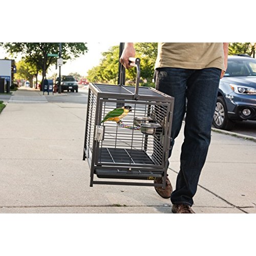 Prevue Pet Products Travel Carrier for Birds, Black