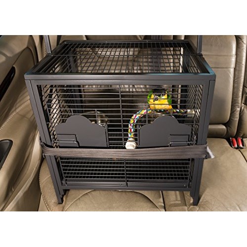 Prevue Pet Products Travel Carrier for Birds, Black