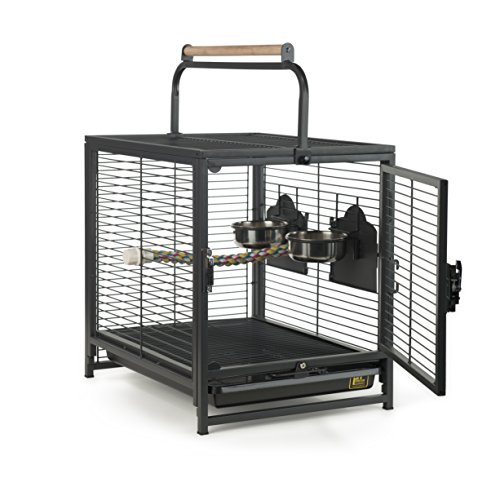 Prevue Pet Products Travel Carrier for Birds, Black