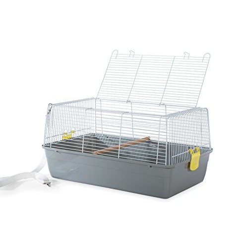 Prevue Pet Products Universal Pet Carrier, Gray, Small Model: 1306