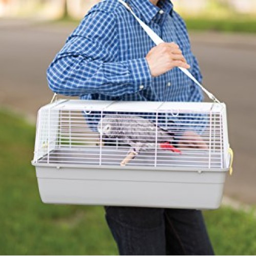 Prevue Pet Products Universal Pet Carrier, Gray, Small Model: 1306
