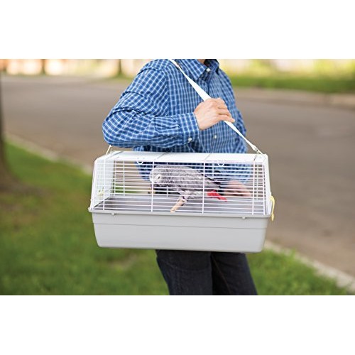 Prevue Pet Products Universal Pet Carrier, Gray, Small Model: 1306
