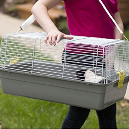 Prevue Pet Products Universal Pet Carrier, Gray, Small Model: 1306