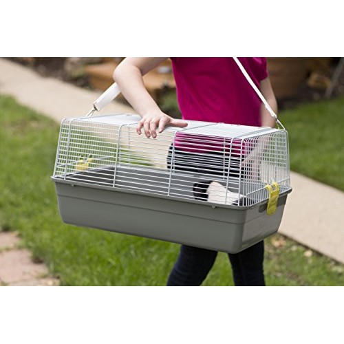 Prevue Pet Products Universal Pet Carrier, Gray, Small Model: 1306