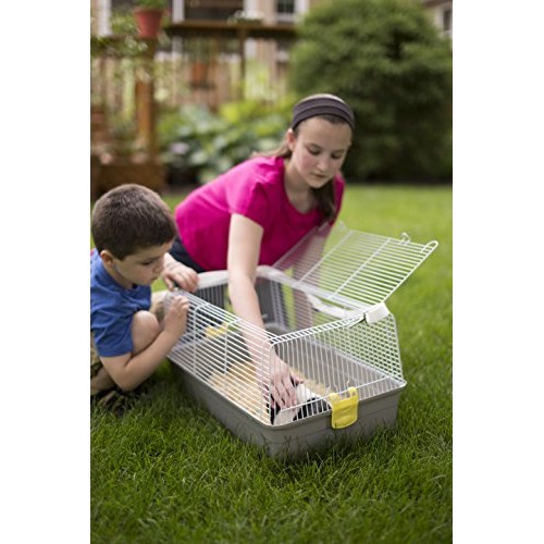 Prevue Pet Products Universal Pet Carrier, Gray, Small Model: 1306
