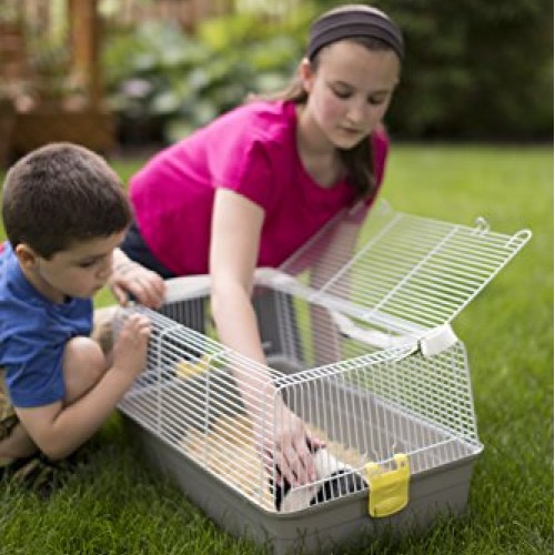 Prevue Pet Products Universal Pet Carrier, Gray, Small Model: 1306