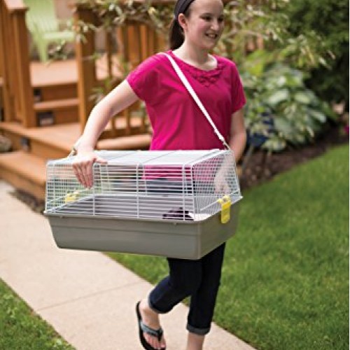 Prevue Pet Products Universal Pet Carrier, Gray, Small Model: 1306