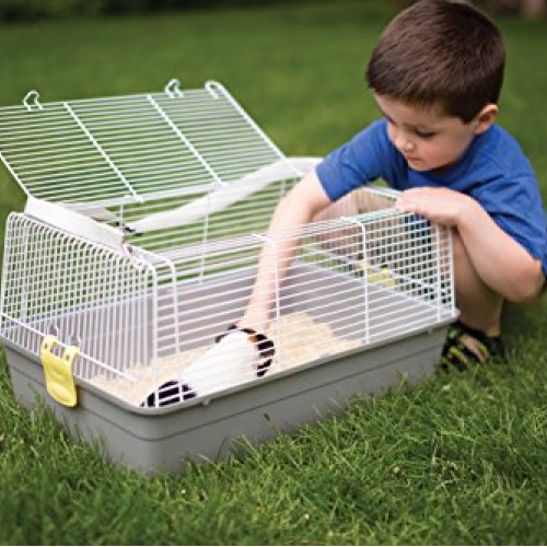 Prevue Pet Products Universal Pet Carrier, Gray, Small Model: 1306