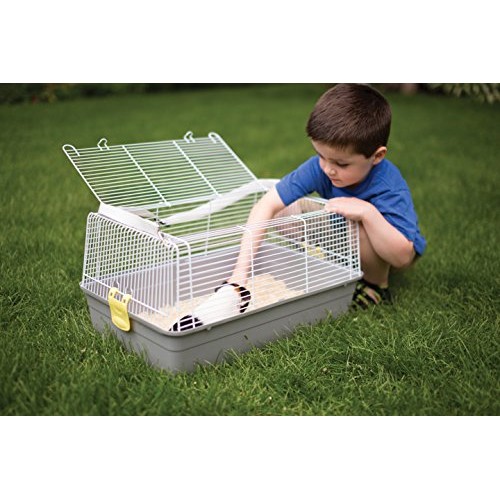 Prevue Pet Products Universal Pet Carrier, Gray, Small Model: 1306