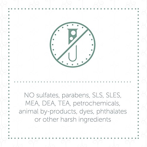 Puracy Natural Daily Shampoo, Sulfate-Free Formula, Safe for All ...