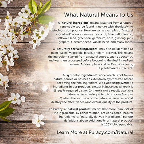 Puracy Natural Daily Shampoo, Sulfate-Free Formula, Safe for All ...